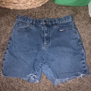 Vintage Lauren Jean Co Higheaisted Shorts